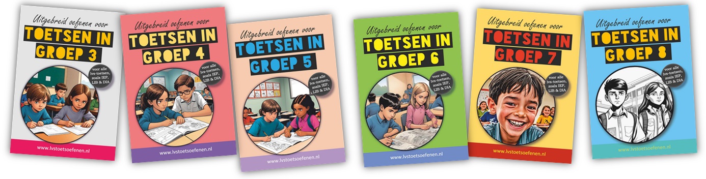 Toetsen oefenen Leerling in Beeld